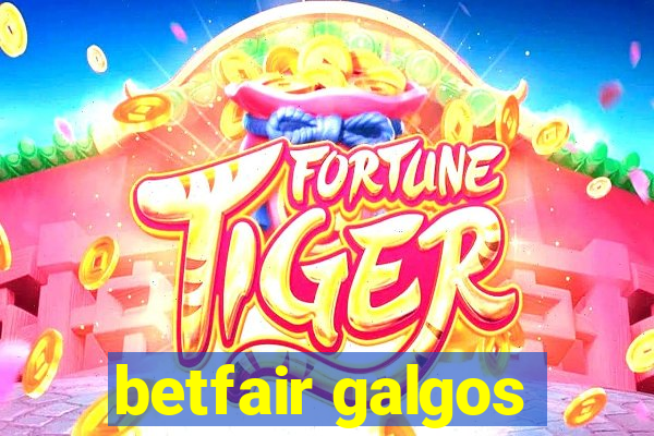 betfair galgos